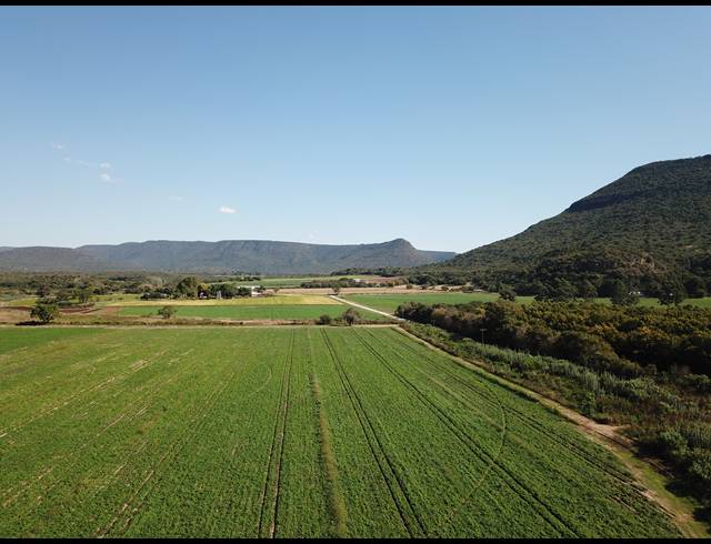 56HA FARM FOR SALE IN WEENEN